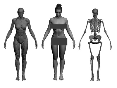 C4D人體高模骨骼肌肉對(duì)比模型